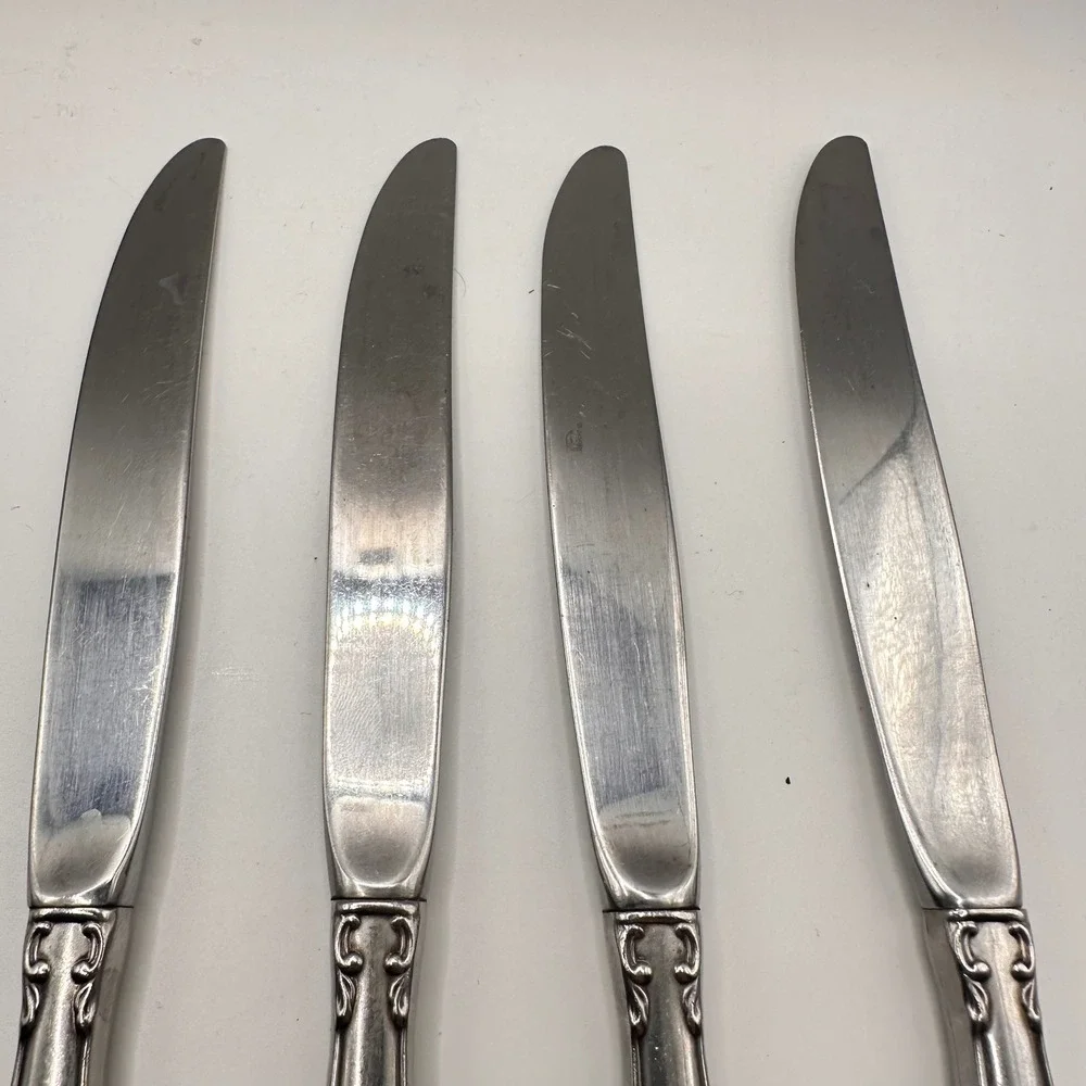 4 Queen's Fancy Stainless, Satin,Black Accent INTERNATIONAL SILVER Dinner Knives